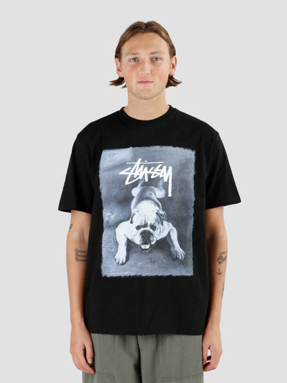 STUSSY 鬥牛犬短袖T恤