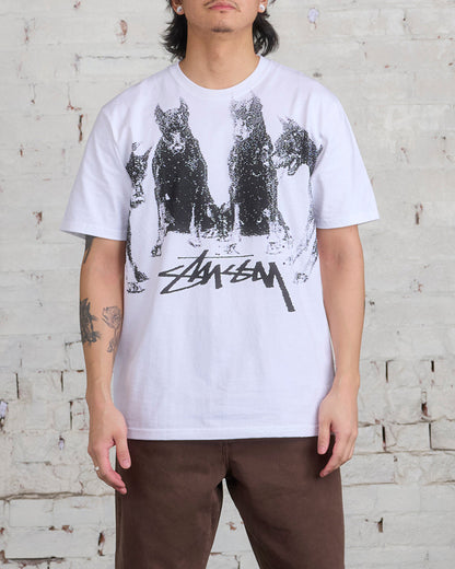 STUSSY  杜賓犬短袖T恤