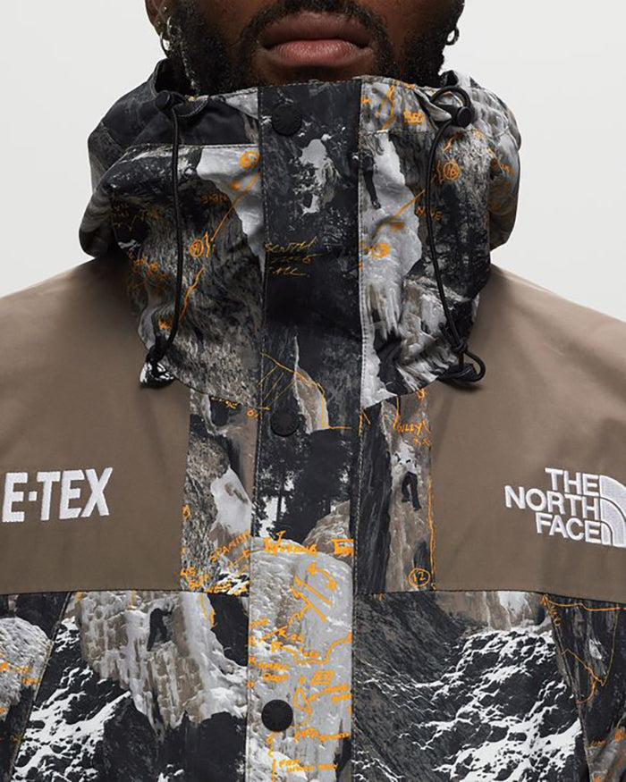 THE NORTH FACE GORE-TEX MOUNTAIN JACKTE 北臉防潑水機能外套