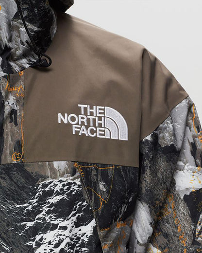 THE NORTH FACE GORE-TEX MOUNTAIN JACKTE 北臉防潑水機能外套