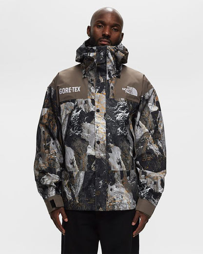 THE NORTH FACE GORE-TEX MOUNTAIN JACKTE 北臉防潑水機能外套