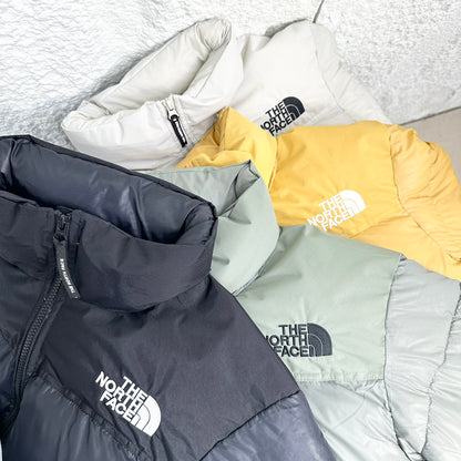 THE NORTH FACE 北臉 科技材質羽絨外套 NJ3NP55B