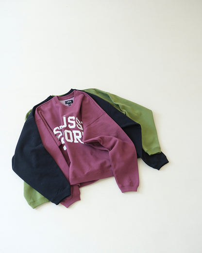 STUSSY Big Crackle Sport Crew 裂紋印花刷毛衛衣